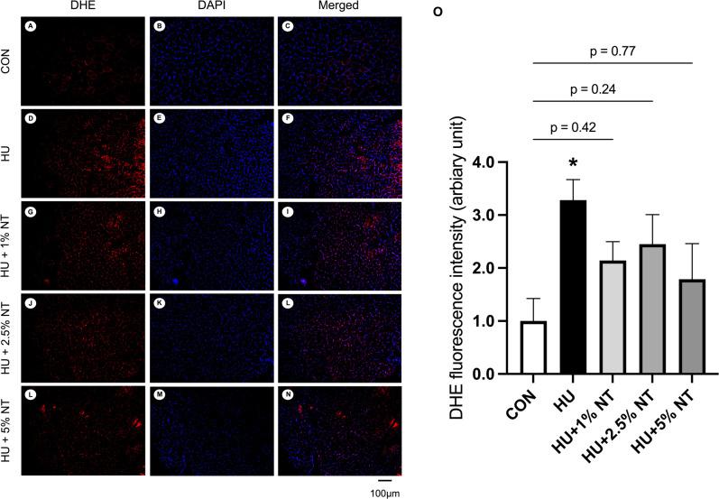 https://cdn.ncbi.nlm.nih.gov/pmc/blobs/9499/10838627/54553cdd29dc/AHC23-00029f03.jpg