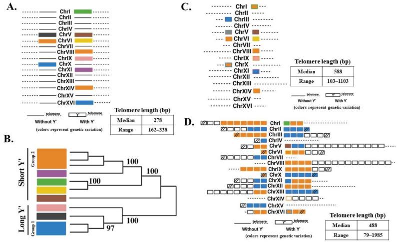 https://cdn.ncbi.nlm.nih.gov/pmc/blobs/949a/10813009/515d721c7c25/biomolecules-14-00113-g004.jpg