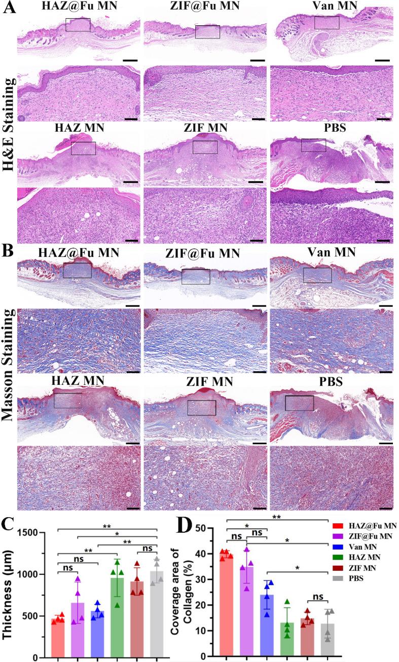 https://cdn.ncbi.nlm.nih.gov/pmc/blobs/949a/10996189/2d2f0322d1db/12951_2024_2398_Fig8_HTML.jpg