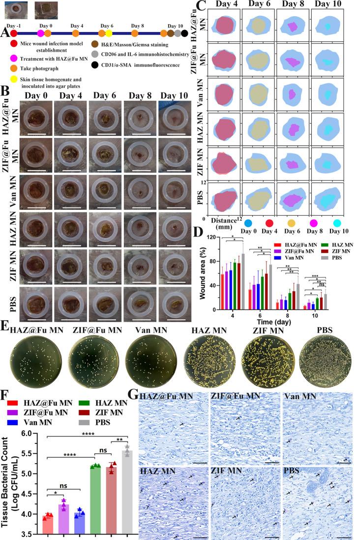 https://cdn.ncbi.nlm.nih.gov/pmc/blobs/949a/10996189/6a47e106e8b3/12951_2024_2398_Fig7_HTML.jpg