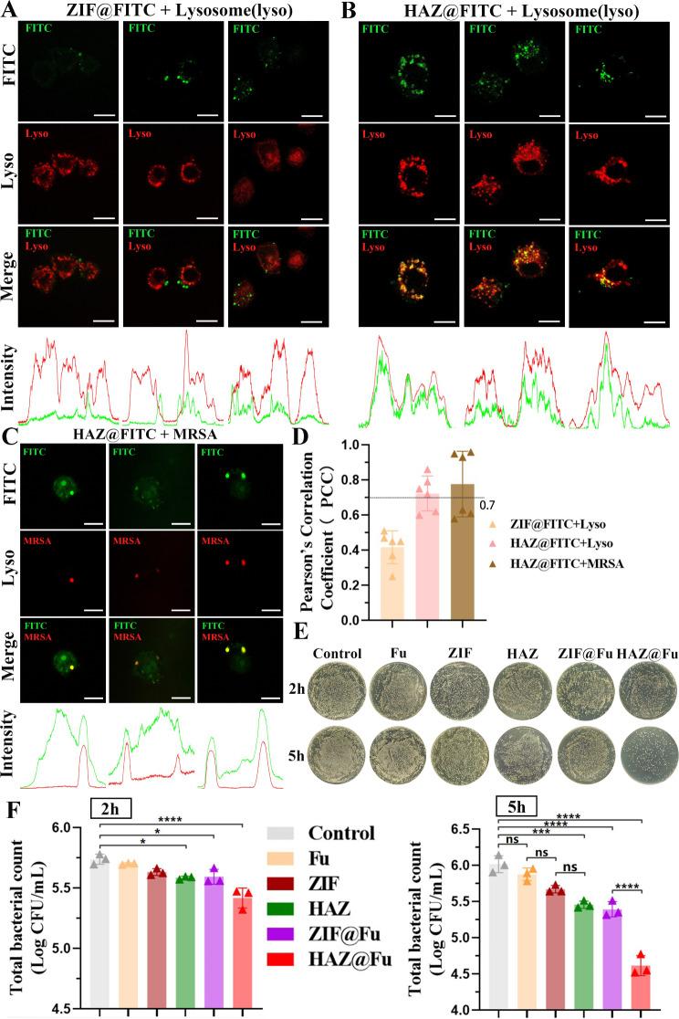 https://cdn.ncbi.nlm.nih.gov/pmc/blobs/949a/10996189/b6d5bf9320f1/12951_2024_2398_Fig6_HTML.jpg