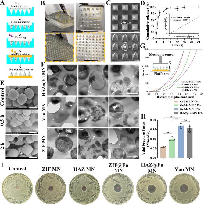 https://cdn.ncbi.nlm.nih.gov/pmc/blobs/949a/10996189/c25168e4e1e9/12951_2024_2398_Fig3_HTML.jpg