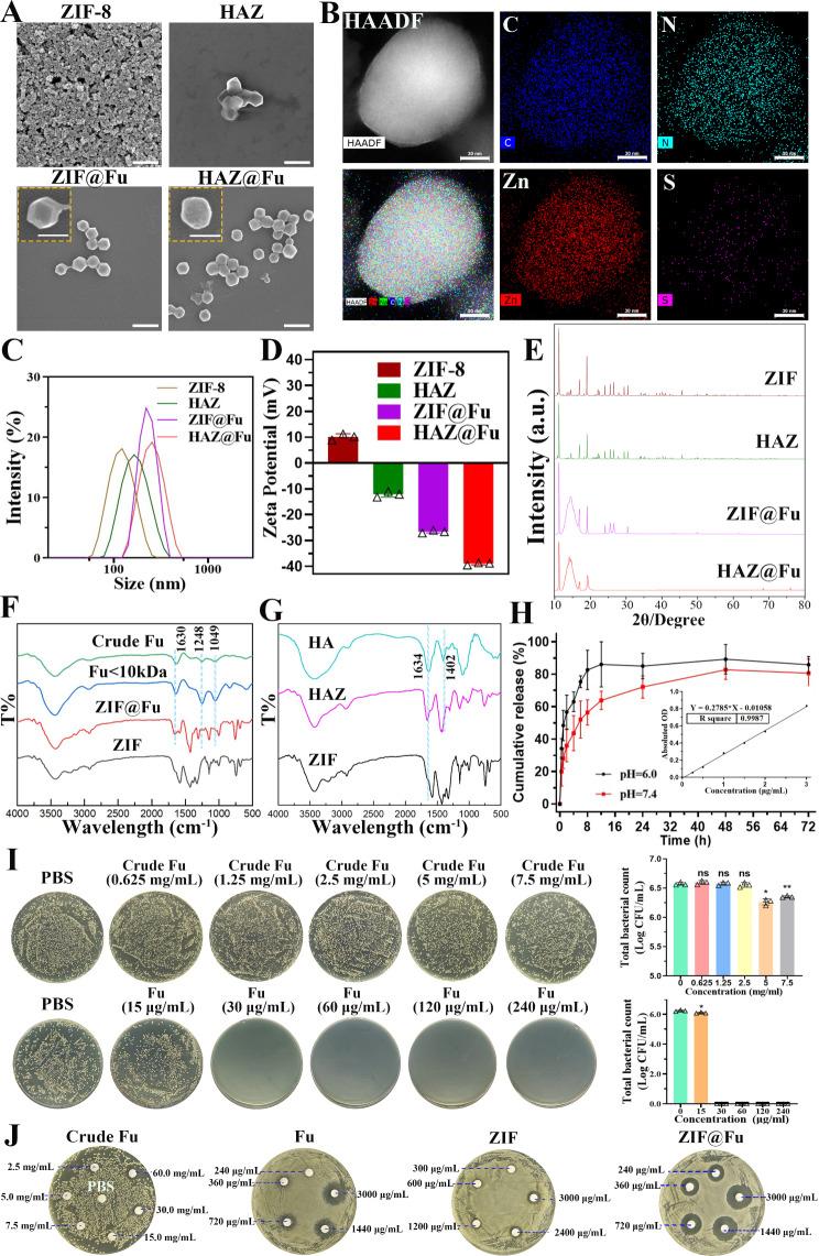 https://cdn.ncbi.nlm.nih.gov/pmc/blobs/949a/10996189/c45a32c524bc/12951_2024_2398_Fig2_HTML.jpg