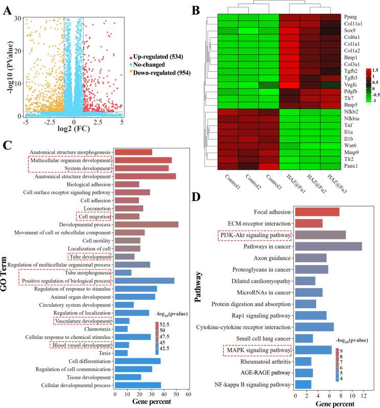 https://cdn.ncbi.nlm.nih.gov/pmc/blobs/949a/10996189/dc540deeeb00/12951_2024_2398_Fig5_HTML.jpg