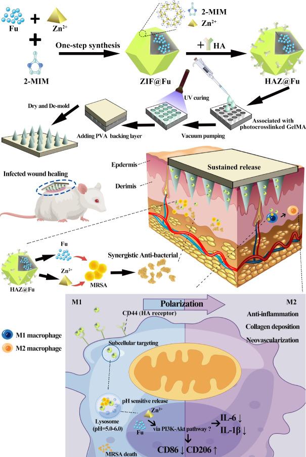 https://cdn.ncbi.nlm.nih.gov/pmc/blobs/949a/10996189/ec335a7917c4/12951_2024_2398_Fig1_HTML.jpg