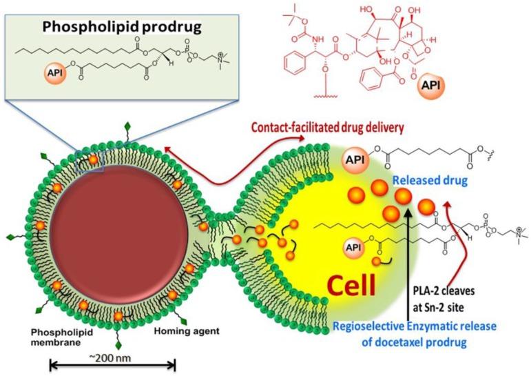 https://cdn.ncbi.nlm.nih.gov/pmc/blobs/949b/3982128/2dad9e1cdfb8/thnov04p0565g001.jpg