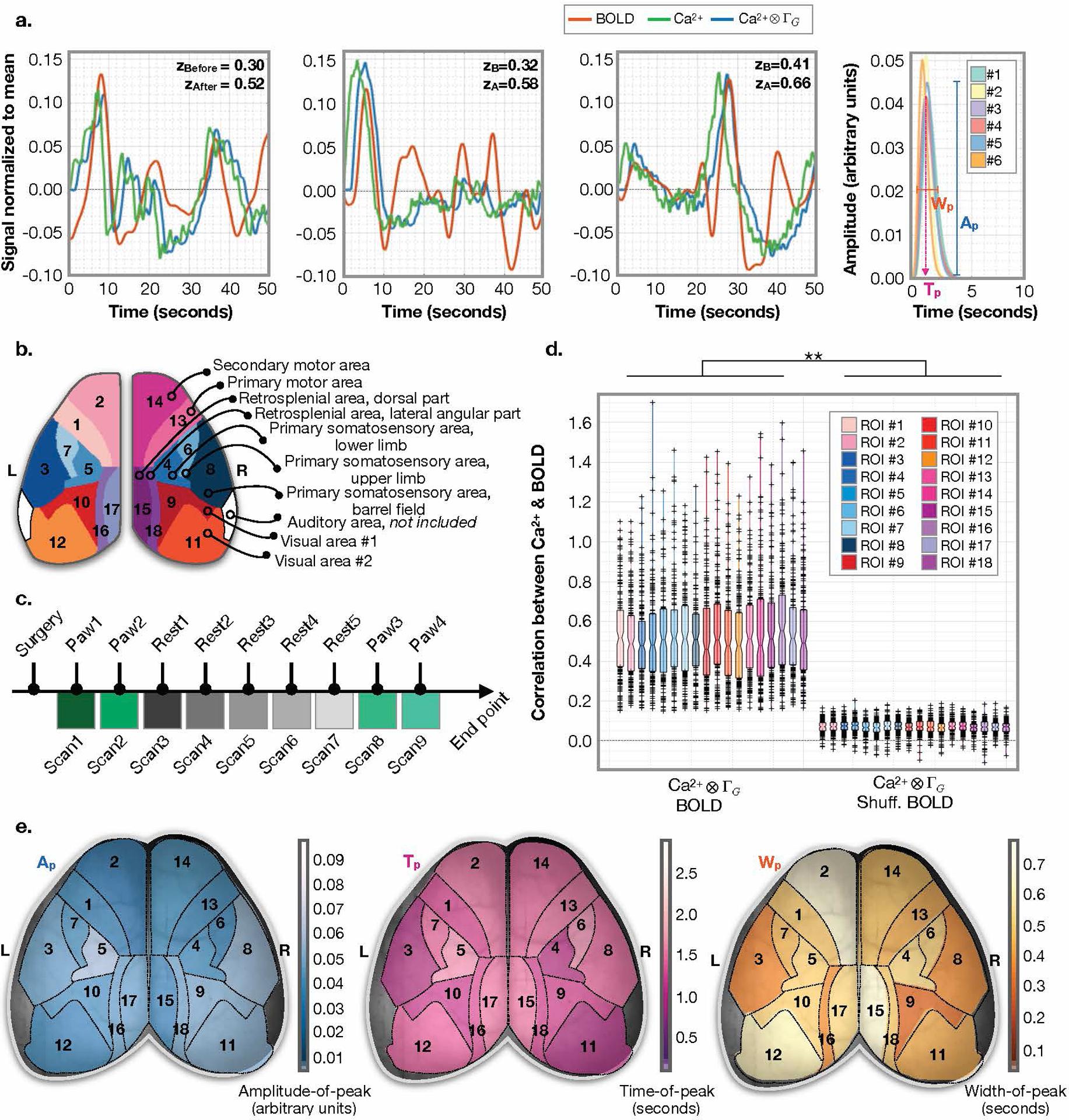 https://cdn.ncbi.nlm.nih.gov/pmc/blobs/949b/7704940/a707aec62fab/nihms-1631388-f0004.jpg