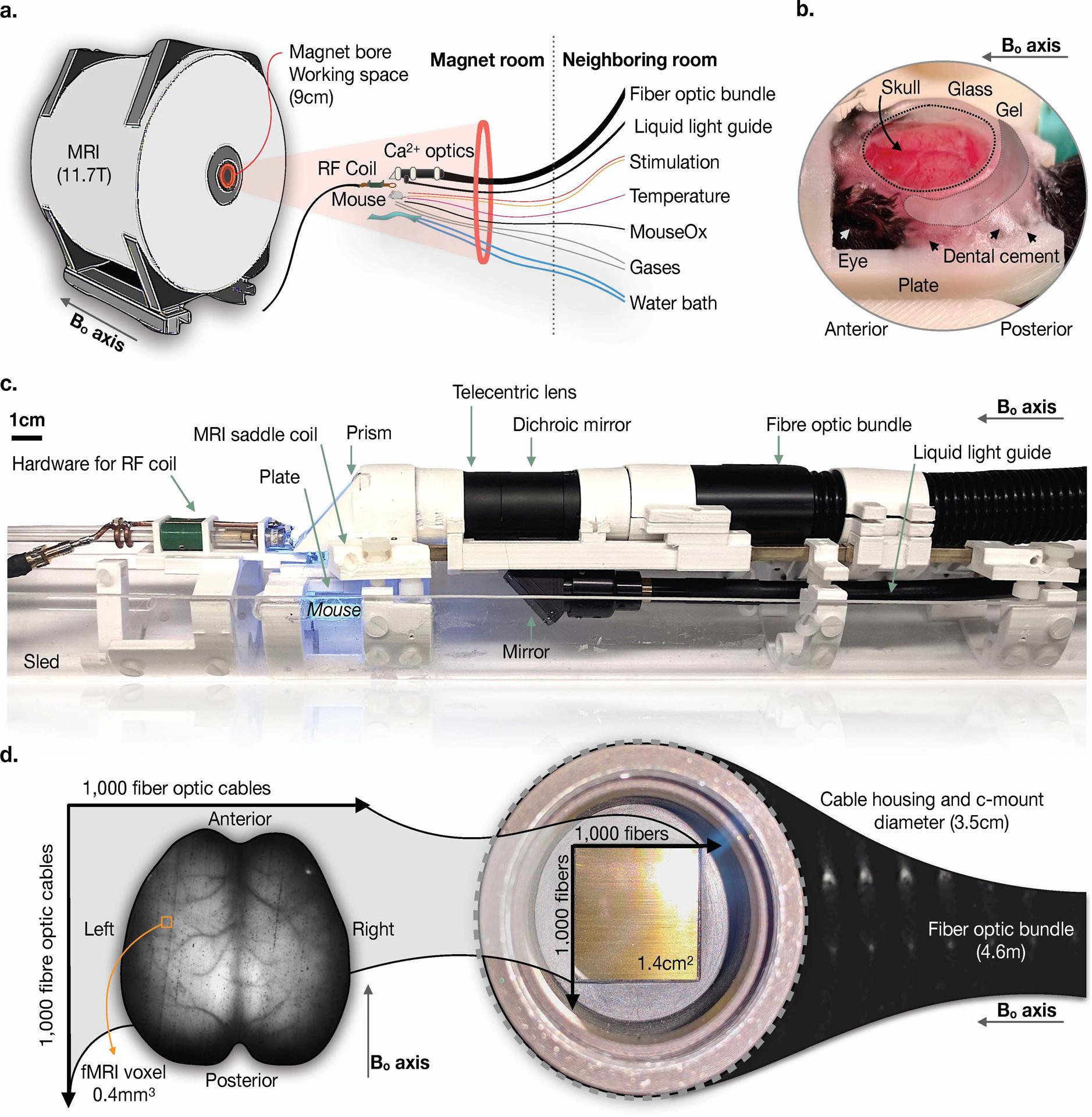 https://cdn.ncbi.nlm.nih.gov/pmc/blobs/949b/7704940/b6774af009b3/nihms-1631388-f0001.jpg