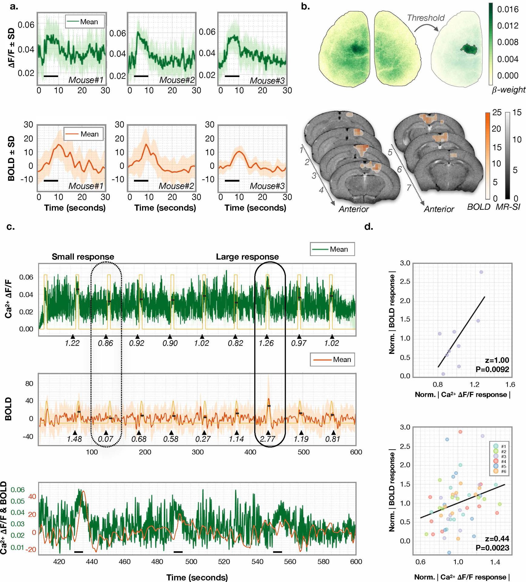 https://cdn.ncbi.nlm.nih.gov/pmc/blobs/949b/7704940/f4f57bb0b1e2/nihms-1631388-f0003.jpg