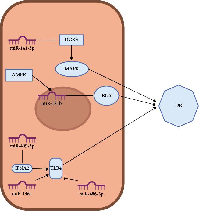 https://cdn.ncbi.nlm.nih.gov/pmc/blobs/949d/10876316/74c65e51a5c2/JDR2024-8520489.006.jpg