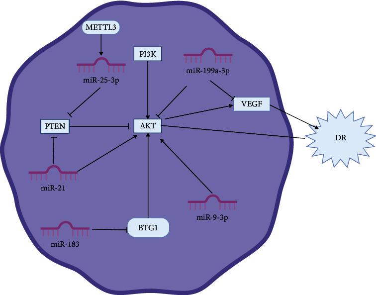 https://cdn.ncbi.nlm.nih.gov/pmc/blobs/949d/10876316/9985e4cde691/JDR2024-8520489.004.jpg