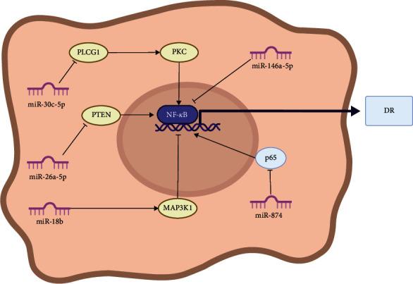 https://cdn.ncbi.nlm.nih.gov/pmc/blobs/949d/10876316/f9dbf2473d01/JDR2024-8520489.005.jpg