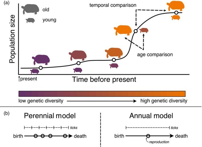 https://cdn.ncbi.nlm.nih.gov/pmc/blobs/949d/11246600/3178c358982c/EVA-17-e13754-g001.jpg