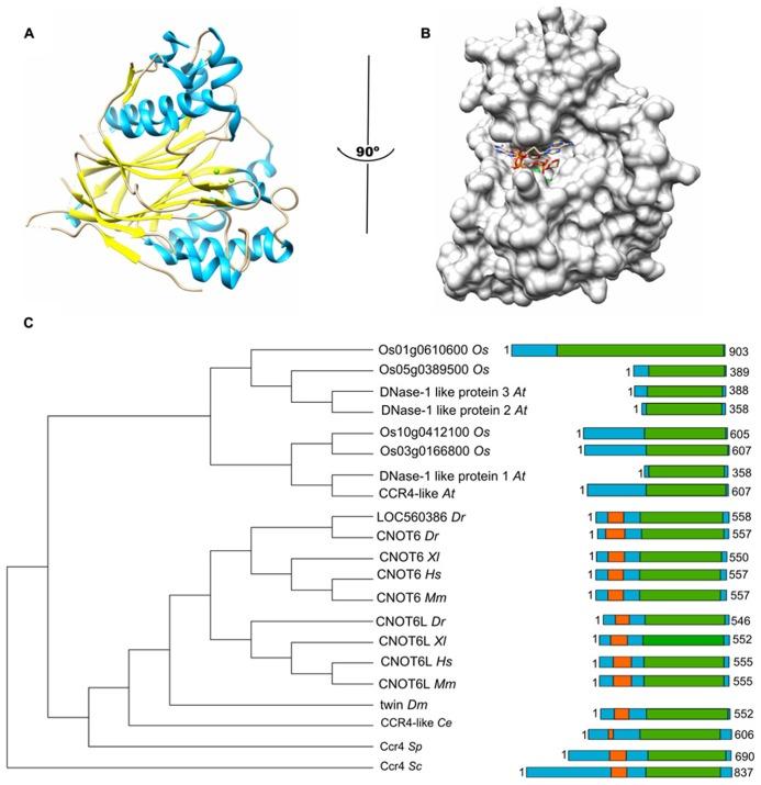 https://cdn.ncbi.nlm.nih.gov/pmc/blobs/949f/3870282/c4ba8a17792e/fgene-04-00296-g001.jpg
