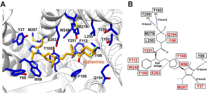 https://cdn.ncbi.nlm.nih.gov/pmc/blobs/94a0/12183272/0b40fa3b8139/fphar-16-1603950-g006.jpg
