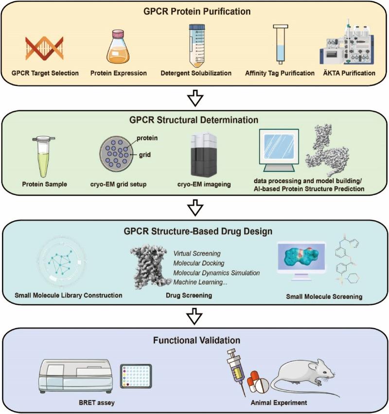 https://cdn.ncbi.nlm.nih.gov/pmc/blobs/94a0/12183272/0bc0e7c36d28/fphar-16-1603950-g005.jpg