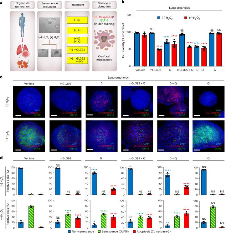 https://cdn.ncbi.nlm.nih.gov/pmc/blobs/94a2/11754095/0d37818cf135/43587_2024_747_Fig6_HTML.jpg