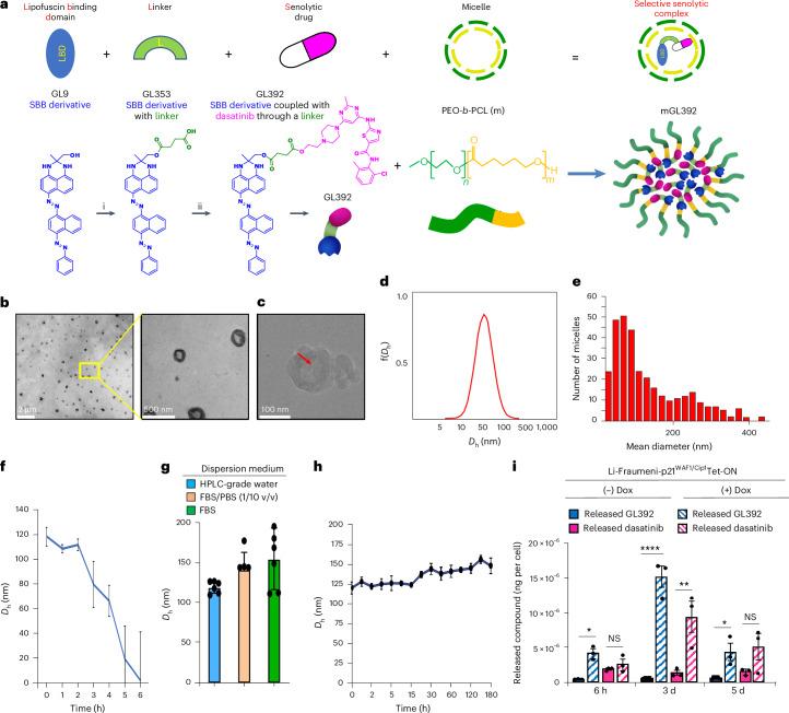 https://cdn.ncbi.nlm.nih.gov/pmc/blobs/94a2/11754095/170effcb8d4d/43587_2024_747_Fig1_HTML.jpg