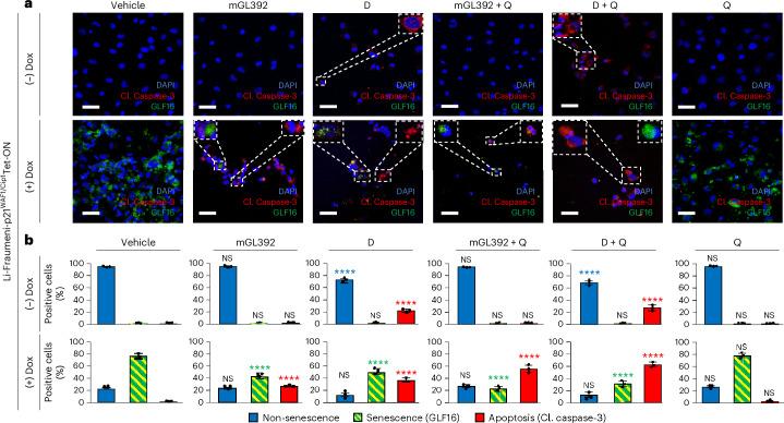 https://cdn.ncbi.nlm.nih.gov/pmc/blobs/94a2/11754095/78802a002f98/43587_2024_747_Fig5_HTML.jpg