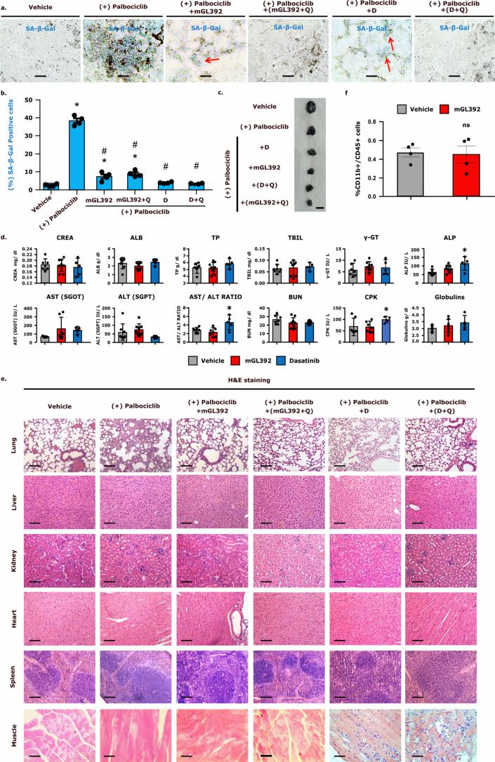 https://cdn.ncbi.nlm.nih.gov/pmc/blobs/94a2/11754095/a2bd79d4df9b/43587_2024_747_Fig12_ESM.jpg