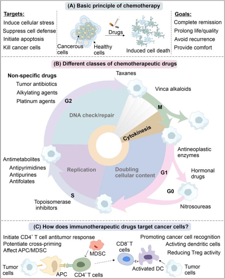 https://cdn.ncbi.nlm.nih.gov/pmc/blobs/94a3/10310991/041abf7ee220/gr2.jpg