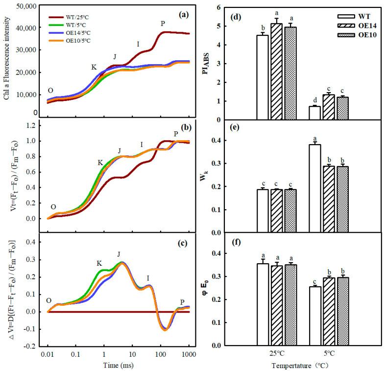 https://cdn.ncbi.nlm.nih.gov/pmc/blobs/94a4/10341946/34b0da520196/ijms-24-11042-g009.jpg