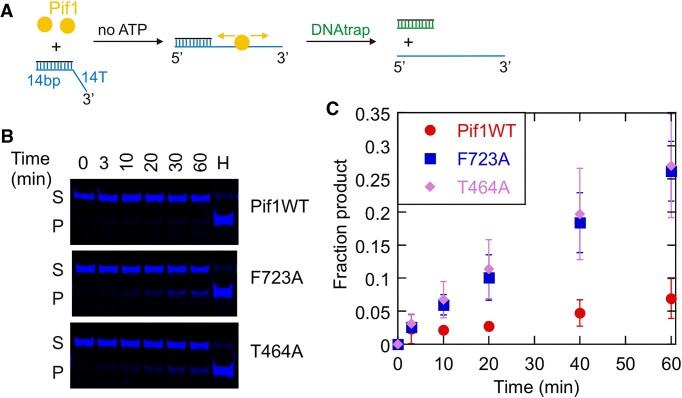 https://cdn.ncbi.nlm.nih.gov/pmc/blobs/94a5/11194084/3074a98b0917/gkae403fig4.jpg