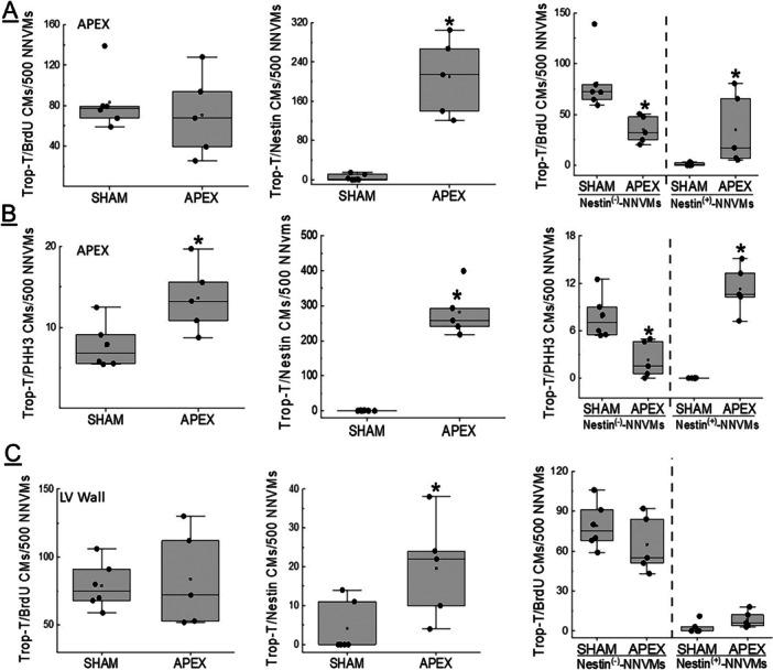 https://cdn.ncbi.nlm.nih.gov/pmc/blobs/94a5/12022726/a90f30a0166c/JCP-240-0-g004.jpg