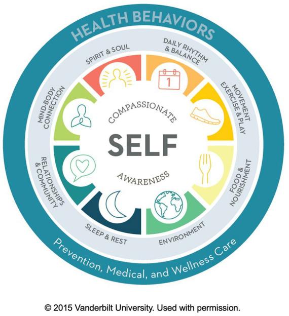 https://cdn.ncbi.nlm.nih.gov/pmc/blobs/94ab/12087188/1811917bf87b/fpsyg-16-1478525-g001.jpg