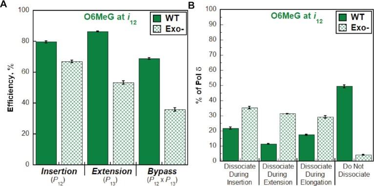 https://cdn.ncbi.nlm.nih.gov/pmc/blobs/94ab/9508823/80adf59fbefc/gkac745fig8.jpg