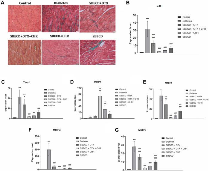 https://cdn.ncbi.nlm.nih.gov/pmc/blobs/94ad/10759242/a33f066e2b4b/fphar-14-1332212-g007.jpg