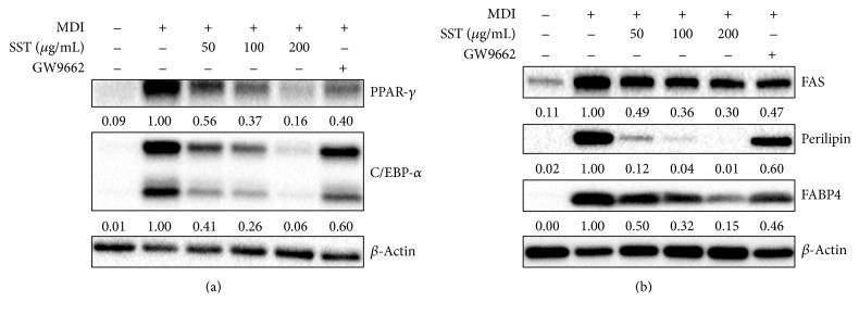 https://cdn.ncbi.nlm.nih.gov/pmc/blobs/94ad/5061987/0f7526c99c24/ECAM2016-2628901.005.jpg