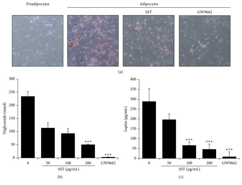 https://cdn.ncbi.nlm.nih.gov/pmc/blobs/94ad/5061987/1ec5efd2dd60/ECAM2016-2628901.004.jpg