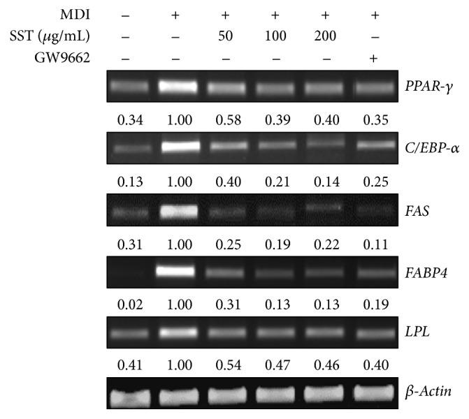https://cdn.ncbi.nlm.nih.gov/pmc/blobs/94ad/5061987/b96dd6d60931/ECAM2016-2628901.006.jpg