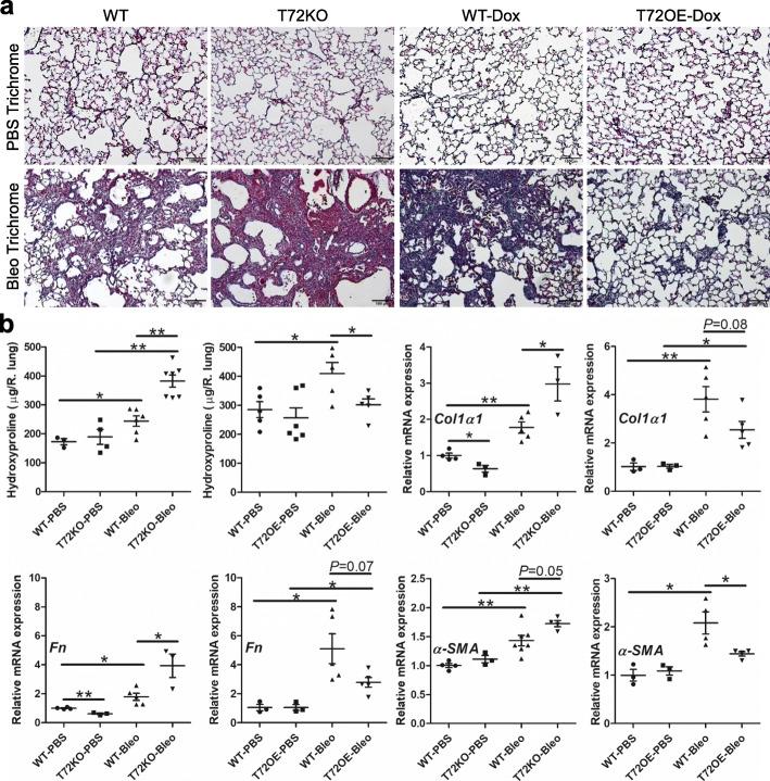 https://cdn.ncbi.nlm.nih.gov/pmc/blobs/94ae/7257505/78f1815287e9/12931_2020_1384_Fig9_HTML.jpg
