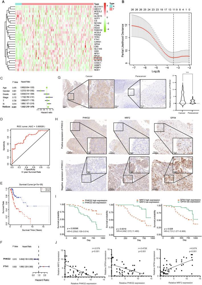 https://cdn.ncbi.nlm.nih.gov/pmc/blobs/94b1/12398534/5b6c8fd0d435/41419_2025_7985_Fig1_HTML.jpg