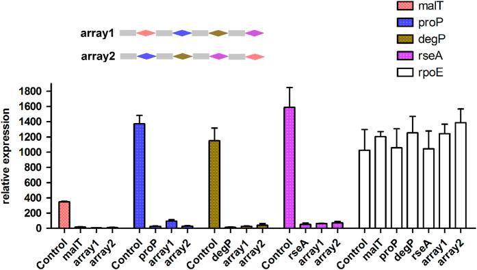 https://cdn.ncbi.nlm.nih.gov/pmc/blobs/94b2/5460296/522675470fd1/celldisc201718-f4.jpg
