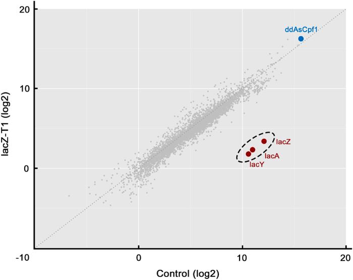 https://cdn.ncbi.nlm.nih.gov/pmc/blobs/94b2/5460296/f59f9dc8325f/celldisc201718-f3.jpg