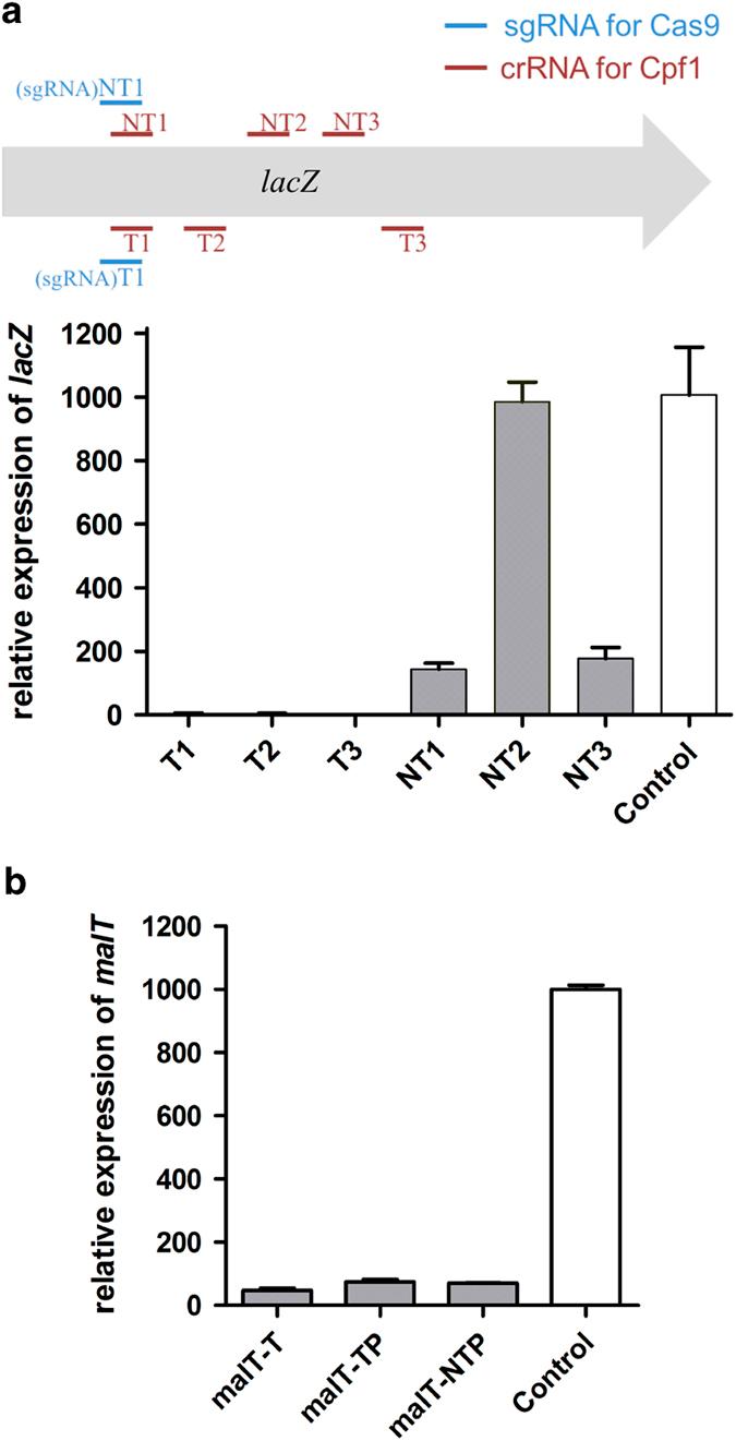 https://cdn.ncbi.nlm.nih.gov/pmc/blobs/94b2/5460296/f768762f93de/celldisc201718-f1.jpg