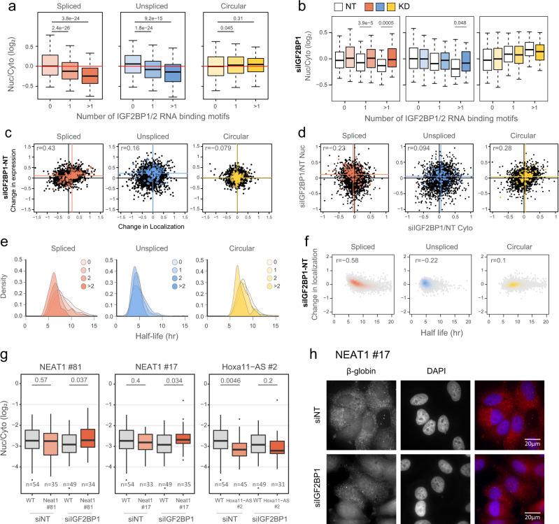 https://cdn.ncbi.nlm.nih.gov/pmc/blobs/94b2/9072321/144c5cdb4a22/41467_2022_30183_Fig5_HTML.jpg