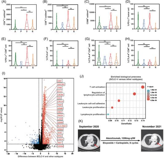 https://cdn.ncbi.nlm.nih.gov/pmc/blobs/94b3/10542987/b9d1b36f7427/MCO2-4-e370-g001.jpg