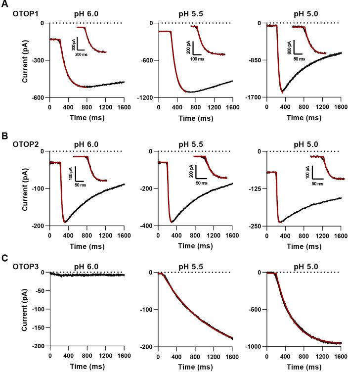 https://cdn.ncbi.nlm.nih.gov/pmc/blobs/94b4/9348849/0194bfacc326/elife-77946-fig4-figsupp1.jpg
