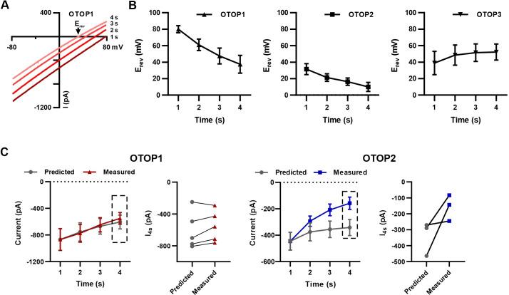 https://cdn.ncbi.nlm.nih.gov/pmc/blobs/94b4/9348849/224250b9fa92/elife-77946-fig5-figsupp1.jpg