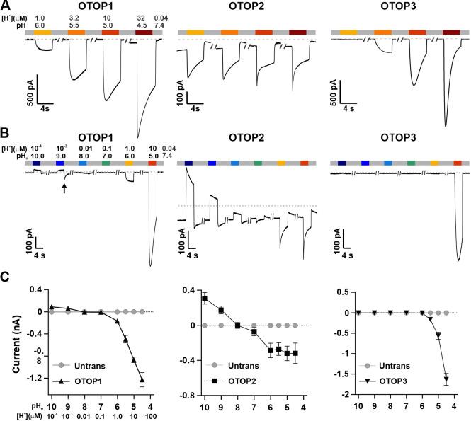 https://cdn.ncbi.nlm.nih.gov/pmc/blobs/94b4/9348849/61a0beaf3466/elife-77946-fig1.jpg