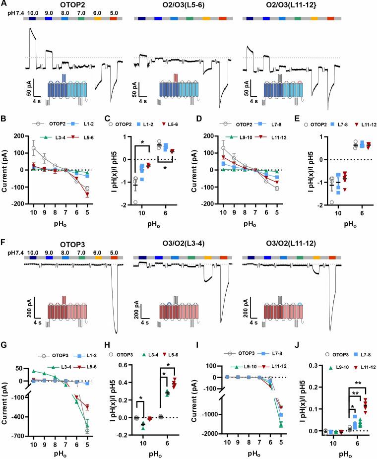 https://cdn.ncbi.nlm.nih.gov/pmc/blobs/94b4/9348849/6e991c046521/elife-77946-fig6.jpg