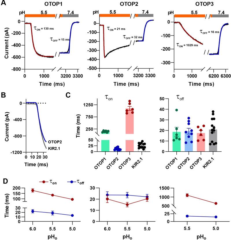 https://cdn.ncbi.nlm.nih.gov/pmc/blobs/94b4/9348849/d1e1faf8817d/elife-77946-fig4.jpg