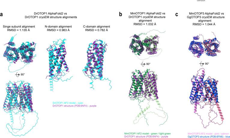 https://cdn.ncbi.nlm.nih.gov/pmc/blobs/94b4/9348849/da7f6f819fad/elife-77946-fig8-figsupp1.jpg