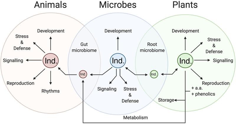 https://cdn.ncbi.nlm.nih.gov/pmc/blobs/94b5/11195476/ba9d4360b4d8/KPSB_A_2366545_F0010_OC.jpg