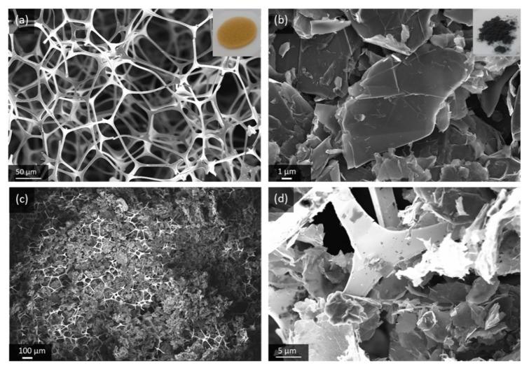https://cdn.ncbi.nlm.nih.gov/pmc/blobs/94b7/6982280/ea744d00313d/materials-13-00043-g001.jpg
