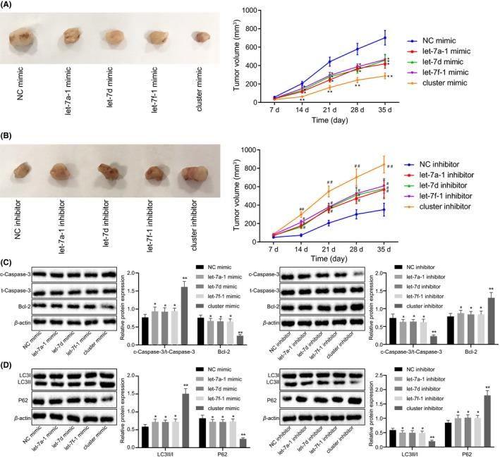 https://cdn.ncbi.nlm.nih.gov/pmc/blobs/94b8/7052808/52a57fc550f2/CNS-26-319-g006.jpg